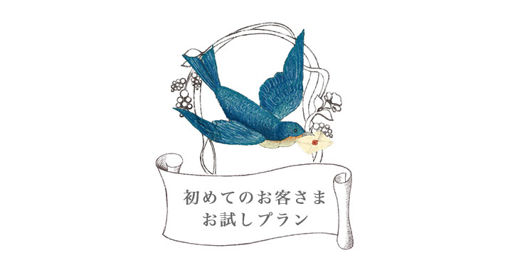 エレクトロハンドエステ|お客さまお試しプラン エレクトロハンドエステ|初めてのお客さまお試しプラン