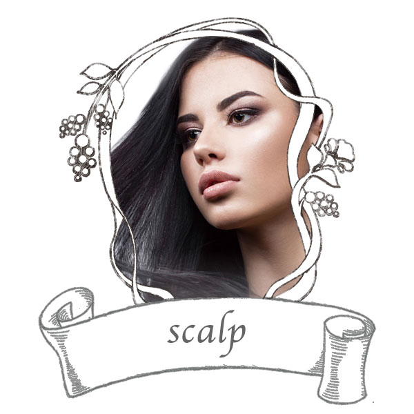 エレクトロハンドエステ|ヒト幹細胞培養エキス エレクトロハンドエステ|ヒト幹細胞培養エキス